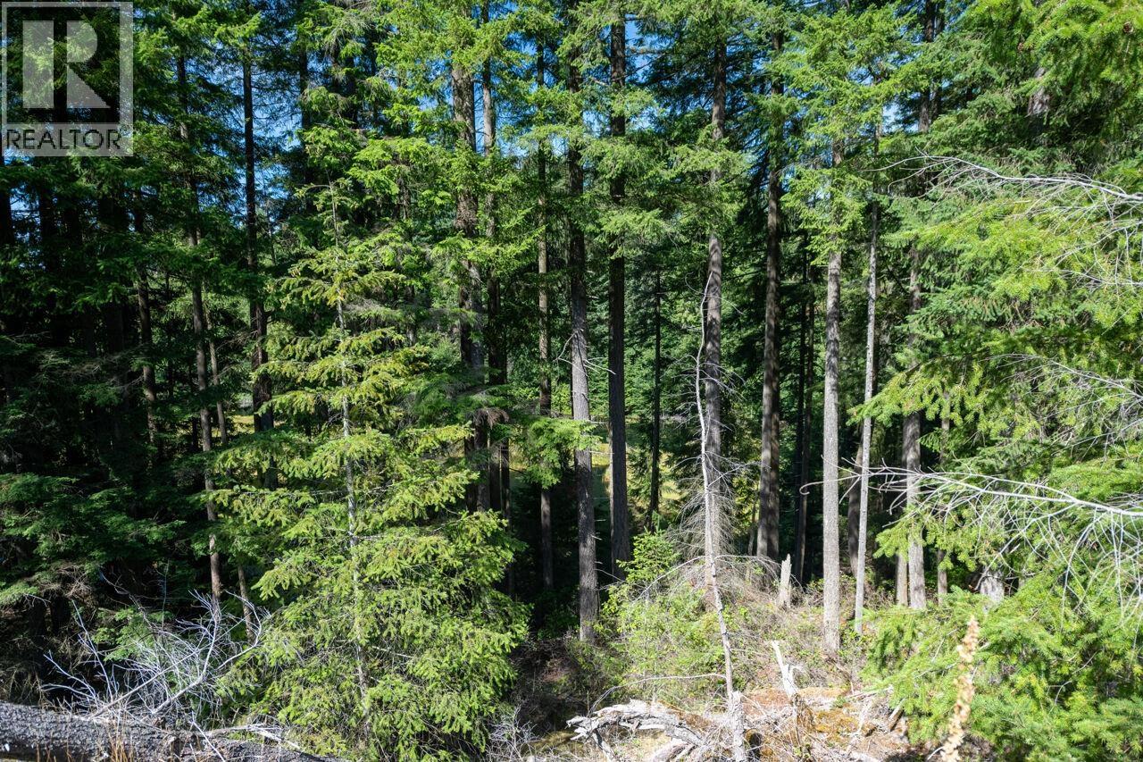 360 Salal Road, Bowen Island, British Columbia  V0N 1G2 - Photo 33 - R3081467