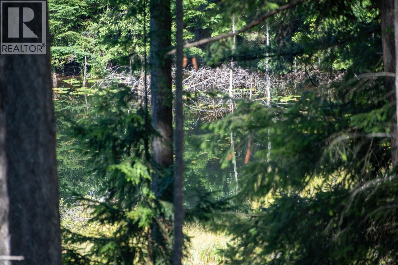 360 Salal Road, Bowen Island, British Columbia  V0N 1G2 - Photo 34 - R3081467