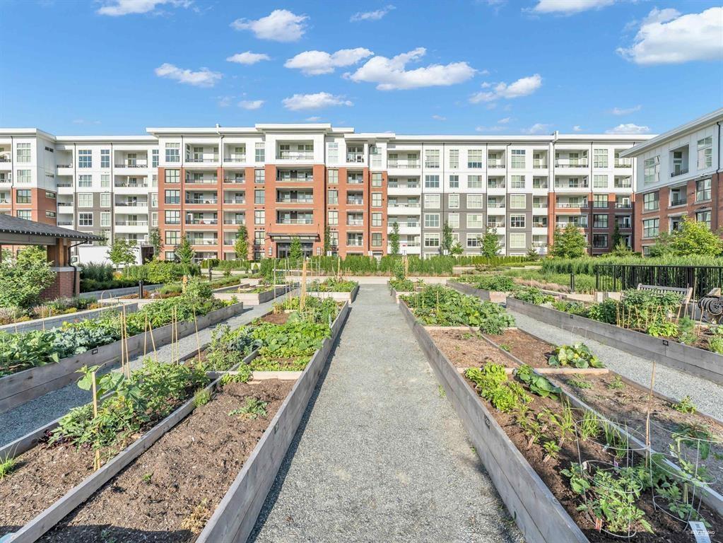 C610 8150 207 Street, Langley, British Columbia  V2Y 4J4 - Photo 36 - R3081507