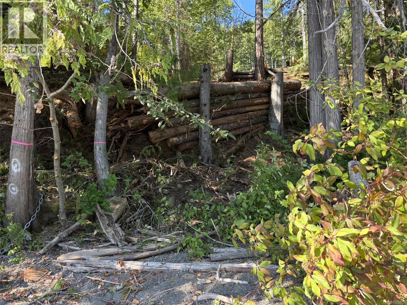 19350 Pacific Rim Hwy, Port Alberni, British Columbia  V9Y 8Z9 - Photo 20 - 1023802