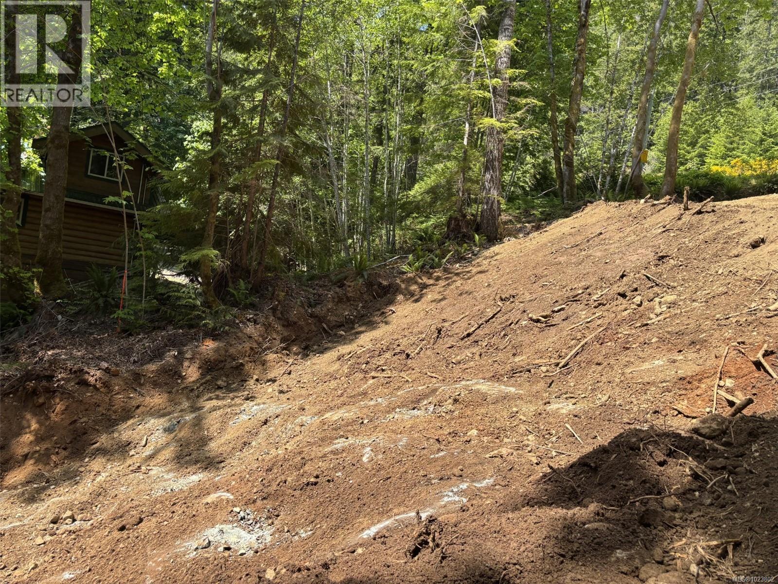 19350 Pacific Rim Hwy, Port Alberni, British Columbia  V9Y 8Z9 - Photo 15 - 1023802