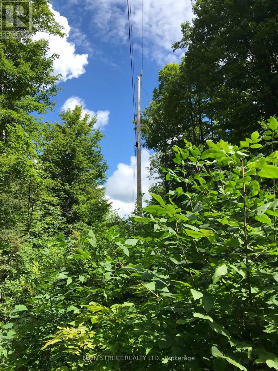 000 BLANCHARDS ROAD, Kawartha Lakes, Ontario