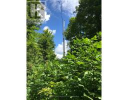 000 BLANCHARDS ROAD, Kawartha Lakes, Ontario