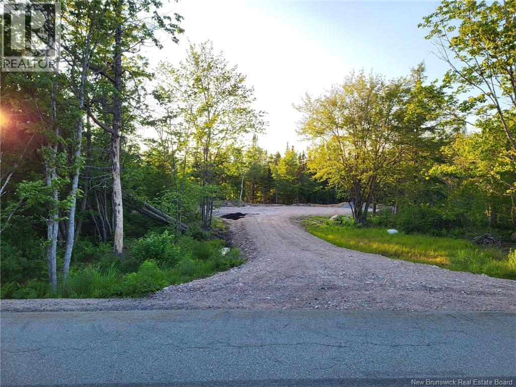 Vacant Route 790, Musquash, New Brunswick  E5J 2R2 - Photo 3 - NB122861