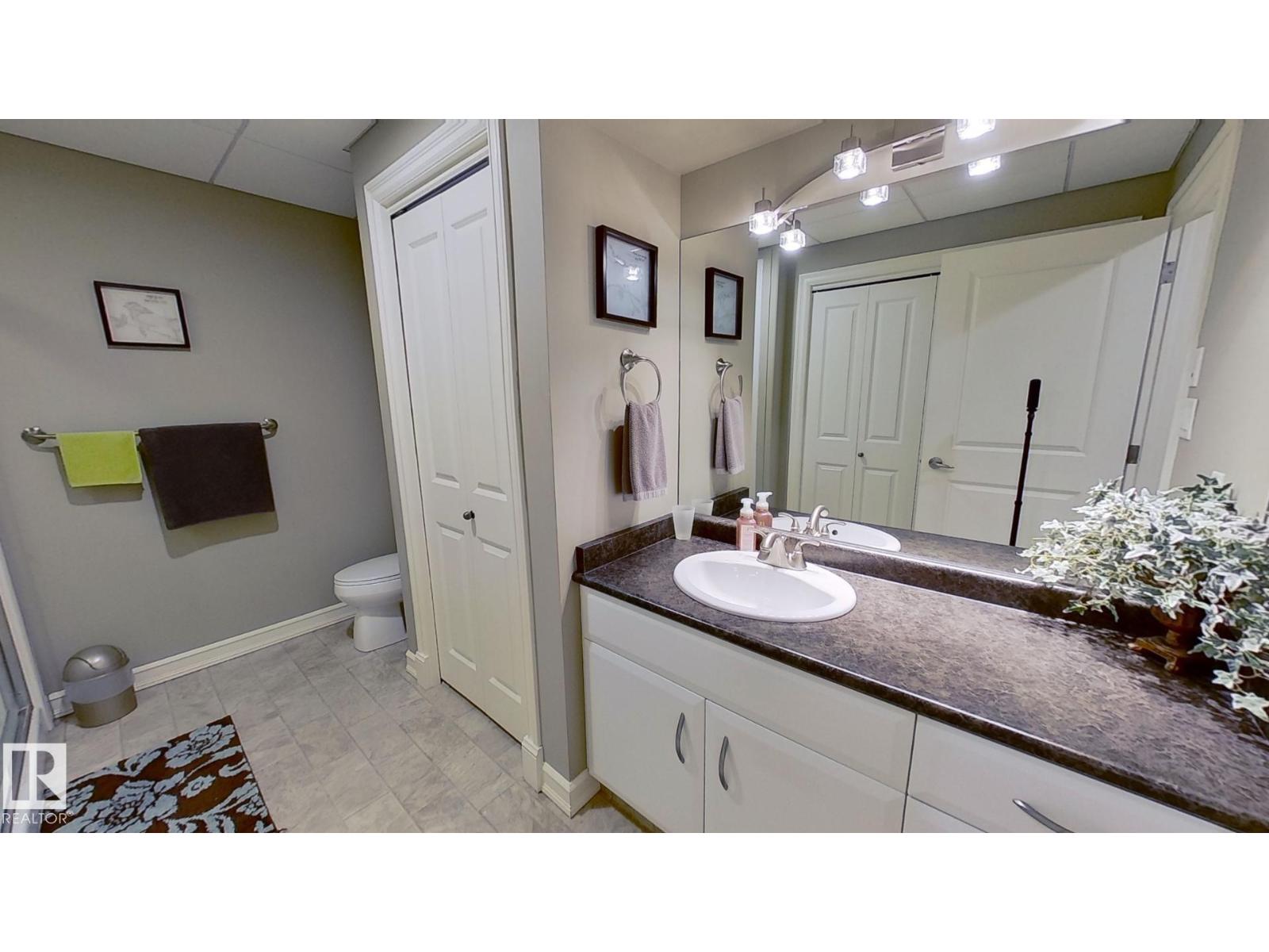 928 Thompson Pl Nw, Edmonton, Alberta  T6R 3K4 - Photo 17 - E4470587