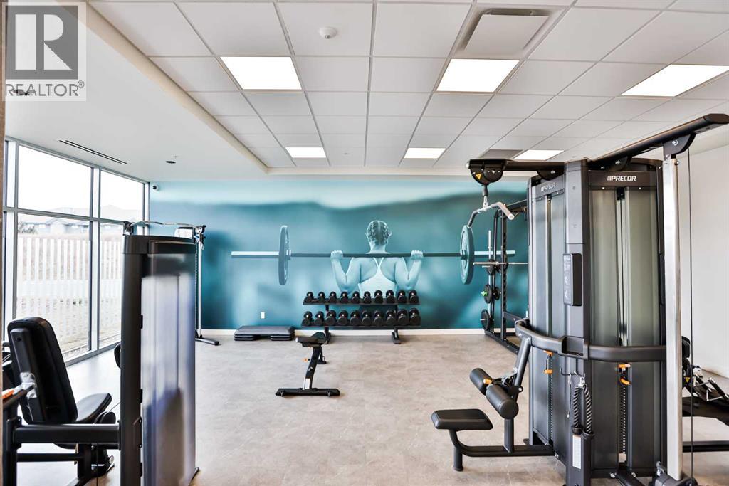 217, 102 Scenic Drive N, Lethbridge, Alberta  T1H 5L9 - Photo 33 - A2277564