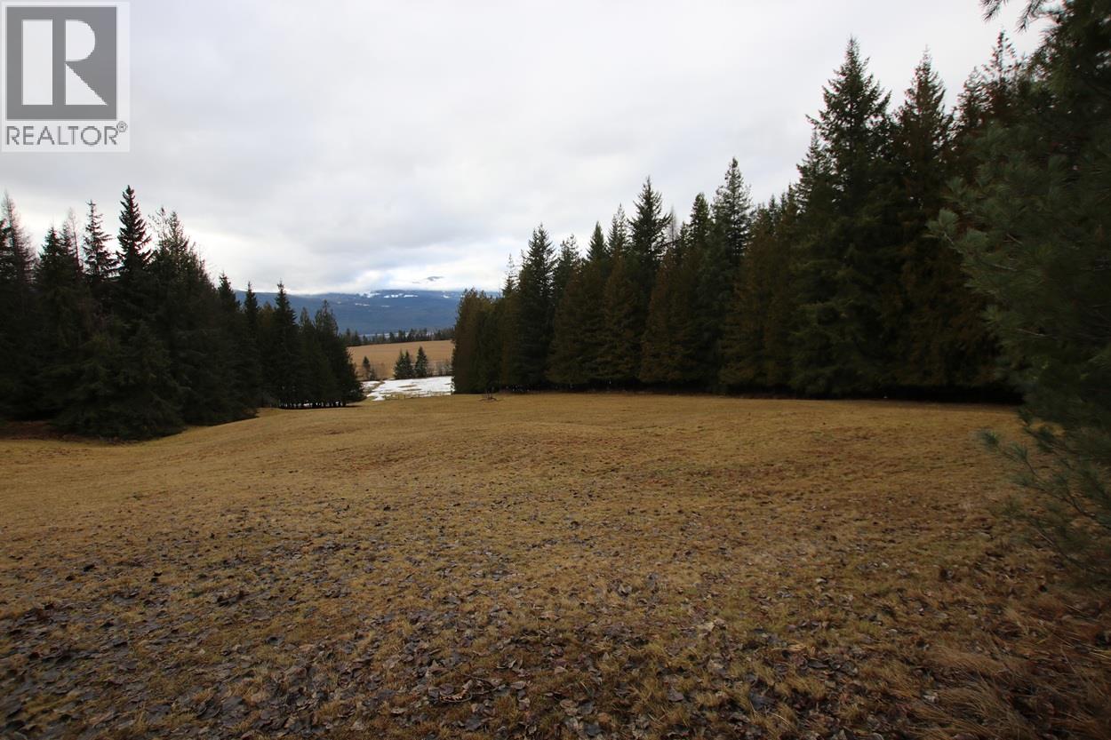 252 Highway 6, Nakusp, British Columbia  V0G 1R1 - Photo 6 - 10373156