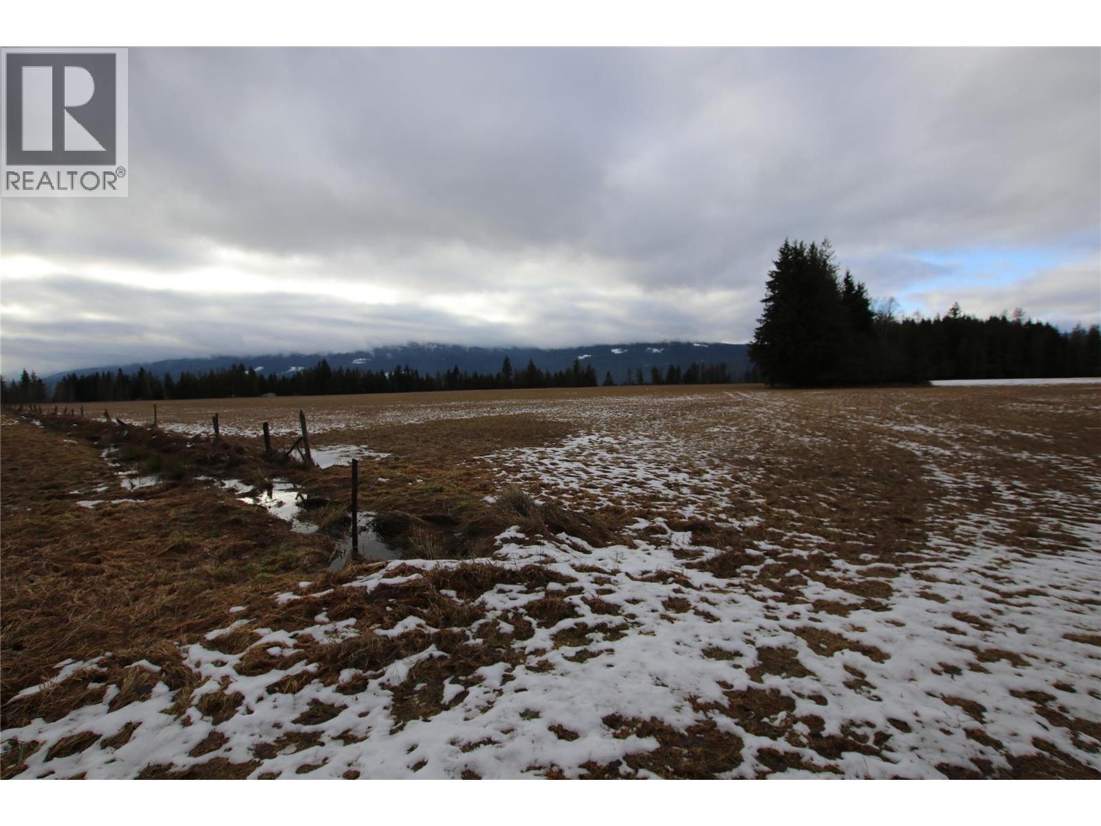252 Highway 6, Nakusp, British Columbia  V0G 1R1 - Photo 4 - 10373156