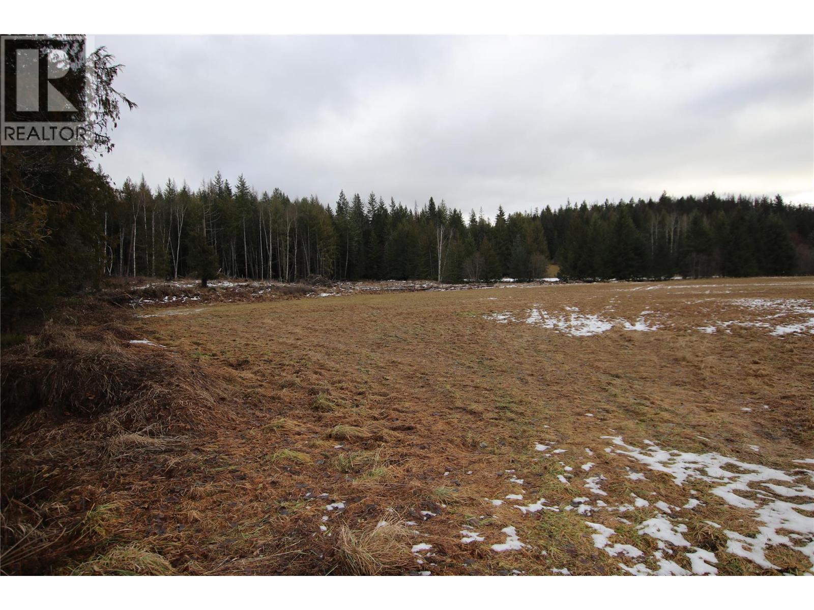 252 Highway 6, Nakusp, British Columbia  V0G 1R1 - Photo 9 - 10373156