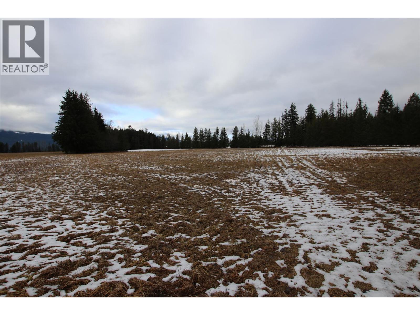 252 Highway 6, Nakusp, British Columbia  V0G 1R1 - Photo 14 - 10373156