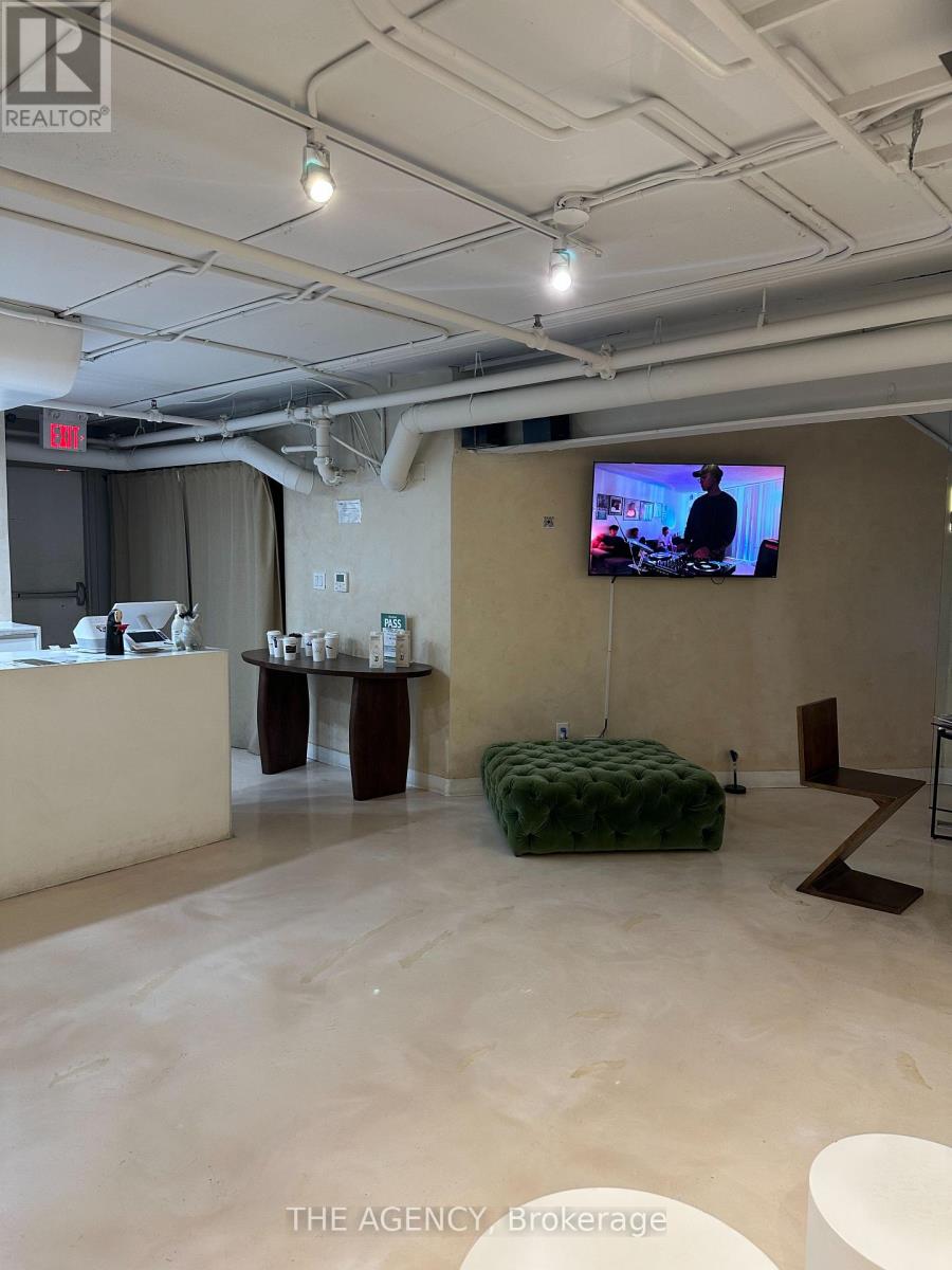 Lower - 492 Parliament Street, Toronto, Ontario  M4X 1P2 - Photo 13 - C12715256