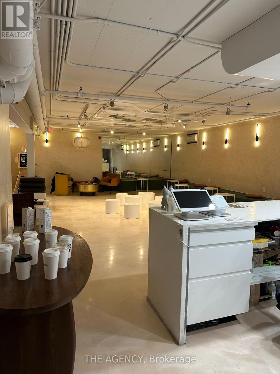 Lower - 492 Parliament Street, Toronto, Ontario  M4X 1P2 - Photo 16 - C12715256