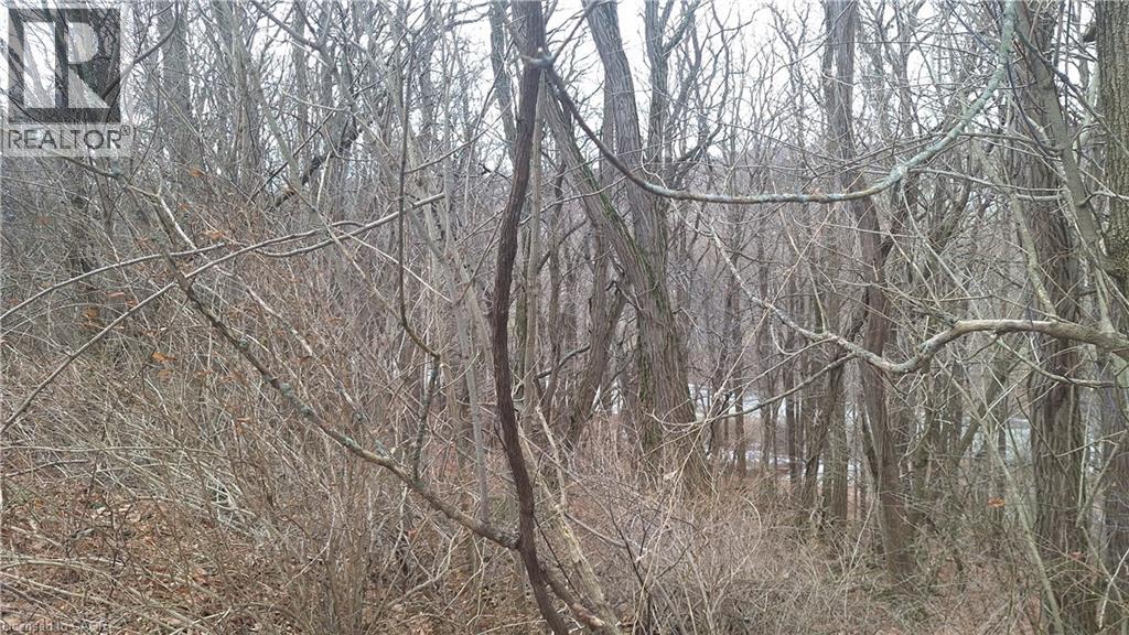 6349a Plank Road, Vienna, Ontario  N0J 1Z0 - Photo 10 - 40794737