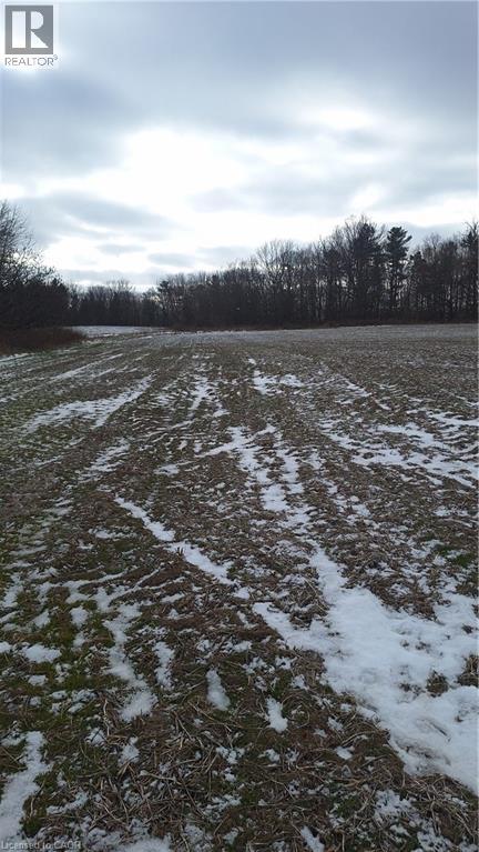 6349a Plank Road, Vienna, Ontario  N0J 1Z0 - Photo 3 - 40794737