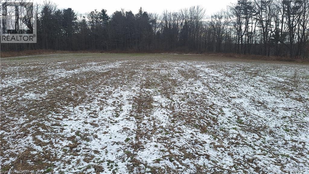 6349a Plank Road, Vienna, Ontario  N0J 1Z0 - Photo 8 - 40794737