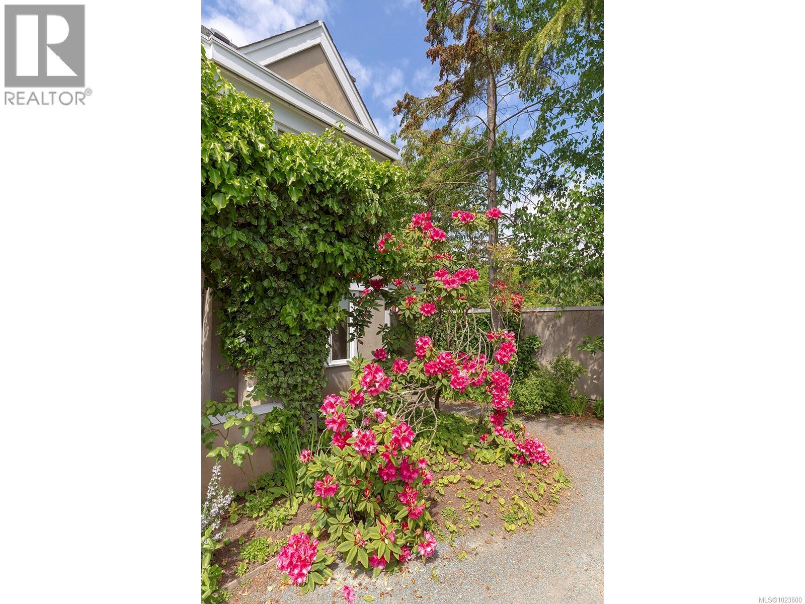 213 Mary St, Victoria, British Columbia  V9A 3V8 - Photo 33 - 1023800