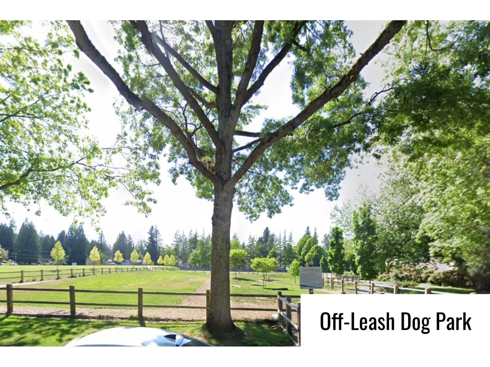 5 20591 51a Avenue, Langley, British Columbia  V3A 7A4 - Photo 29 - R3080595