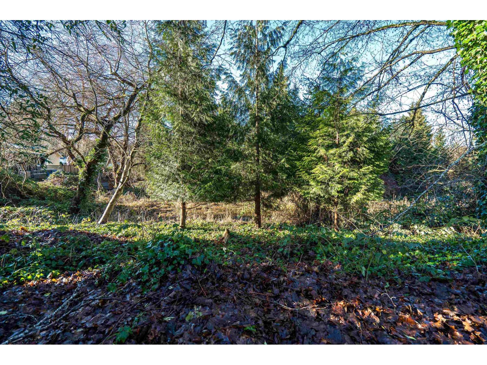 5 20591 51a Avenue, Langley, British Columbia  V3A 7A4 - Photo 24 - R3080595