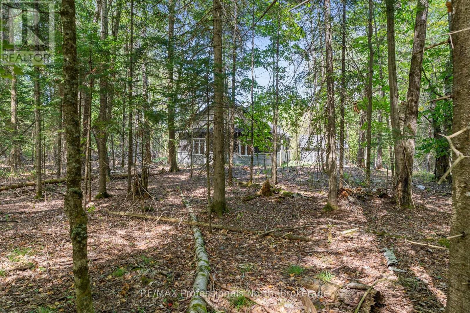 1076 Angel Road, Dysart Et Al, Ontario  K0M 1M0 - Photo 46 - X12688670