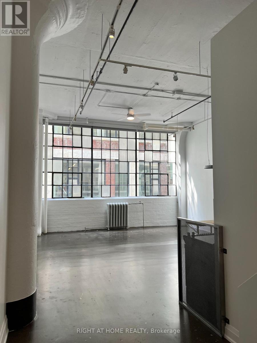 210b - 245 Carlaw Avenue, Toronto, Ontario  M4M 2S1 - Photo 10 - E12715424