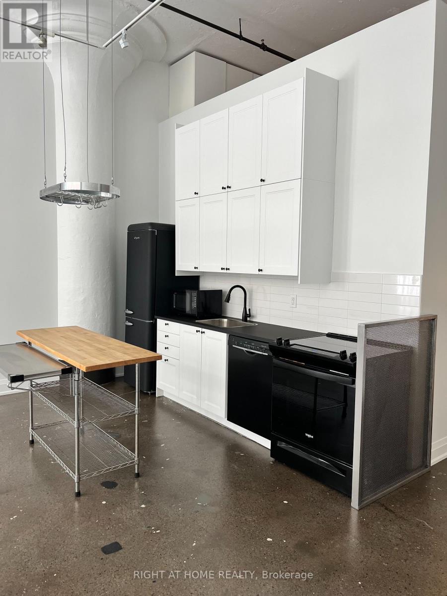 210b - 245 Carlaw Avenue, Toronto, Ontario  M4M 2S1 - Photo 14 - E12715424