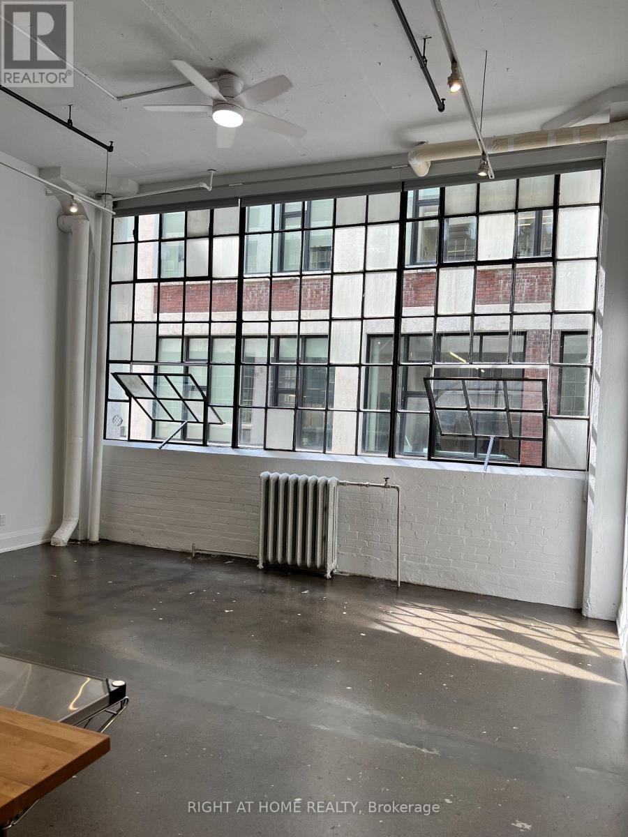 210b - 245 Carlaw Avenue, Toronto, Ontario  M4M 2S1 - Photo 20 - E12715424