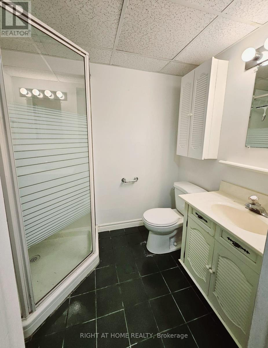 96 Rockport Crescent, Richmond Hill, Ontario  L4C 2L8 - Photo 17 - N12715410