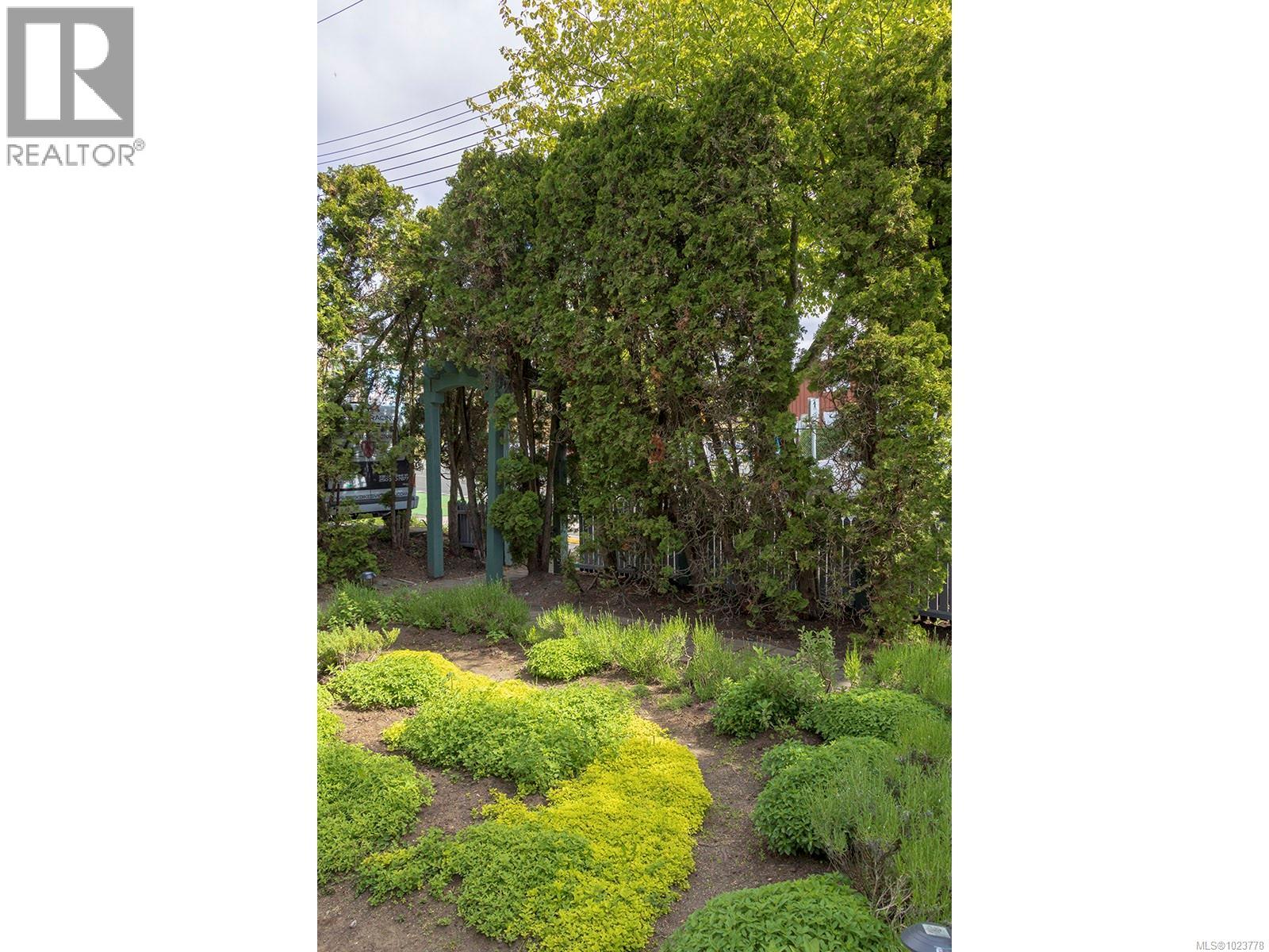 332 Catherine St, Victoria, British Columbia  V9A 3S8 - Photo 38 - 1023778