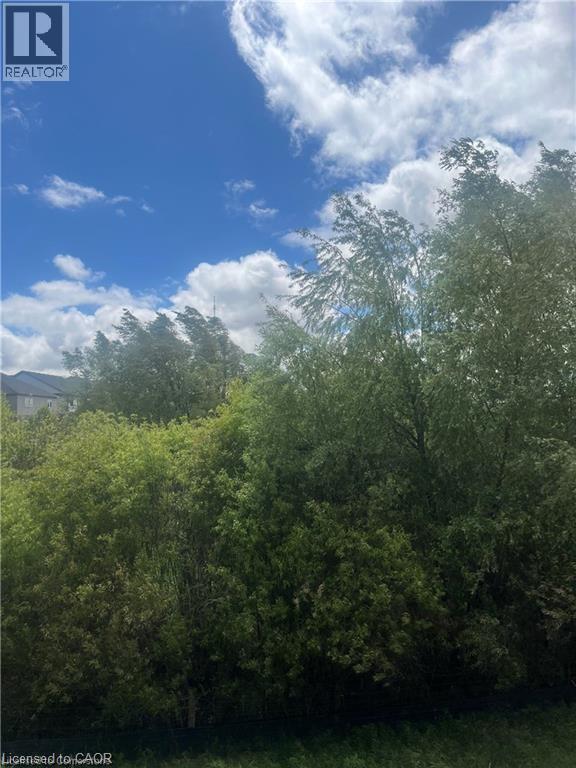 255 Ladyslipper Drive, Waterloo, Ontario  N2V 0C3 - Photo 14 - 40765191