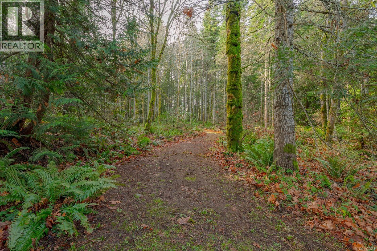 2477 Enefer Rd, Nanaimo, British Columbia  V9X 1W4 - Photo 51 - 1020833