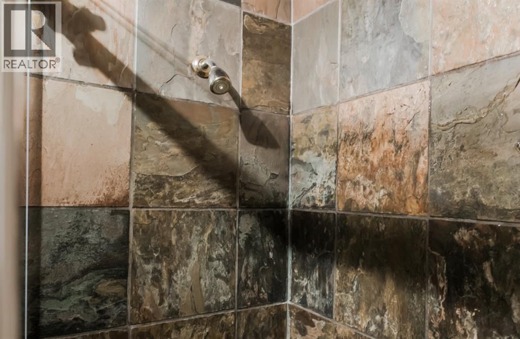 10027a 100 Avenue, Grande Prairie, Alberta  T8V 0V2 - Photo 33 - A2280671