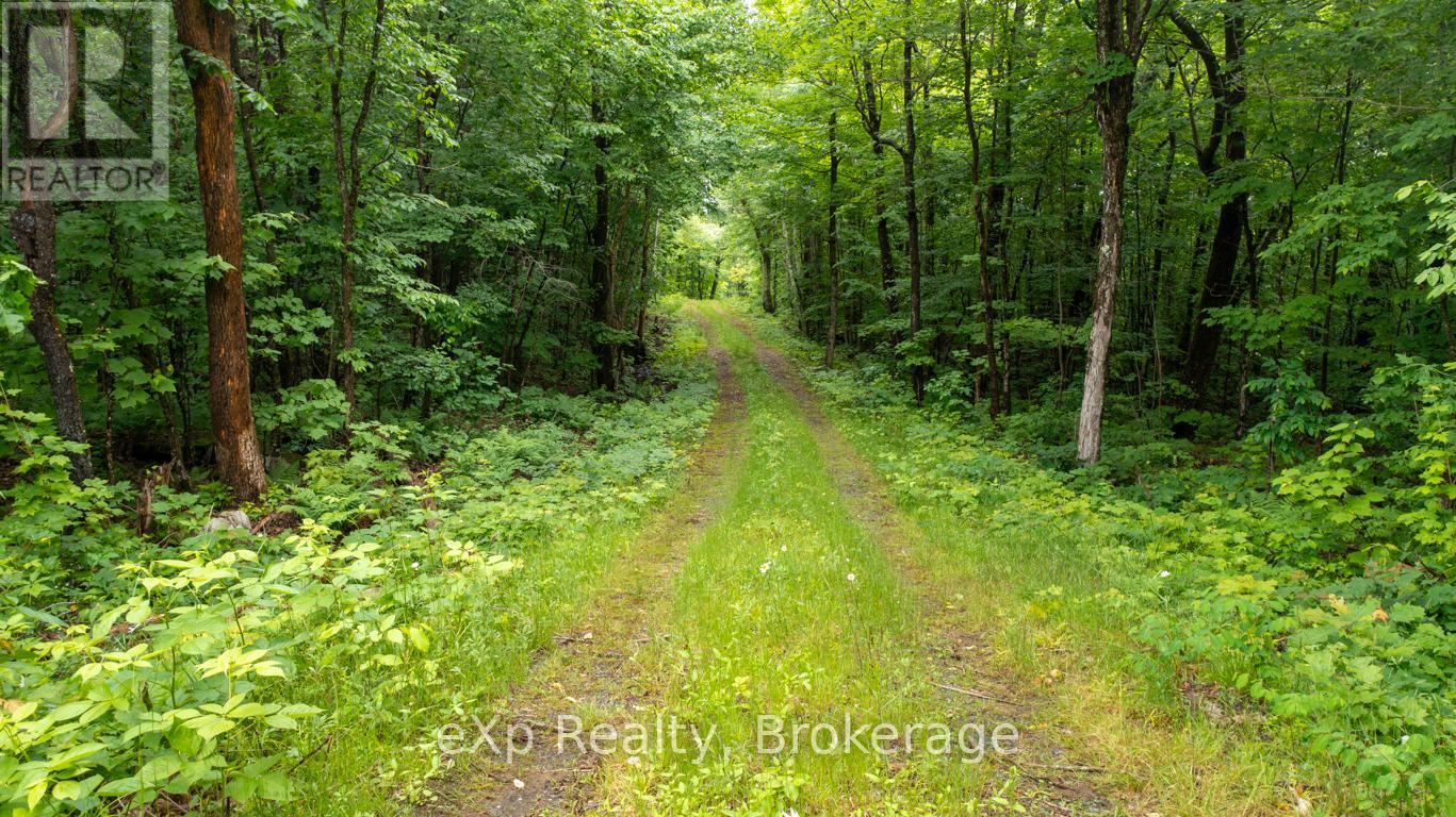 3 Kingfisher Road, Mcdougall, Ontario  P2A 2W9 - Photo 1 - X12715558