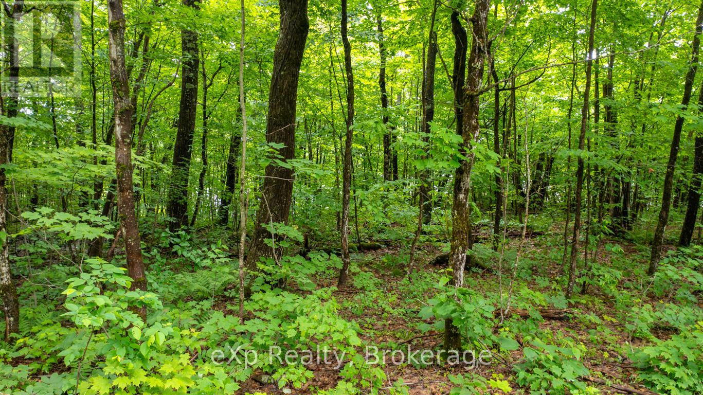 3 Kingfisher Road, Mcdougall, Ontario  P2A 2W9 - Photo 17 - X12715558