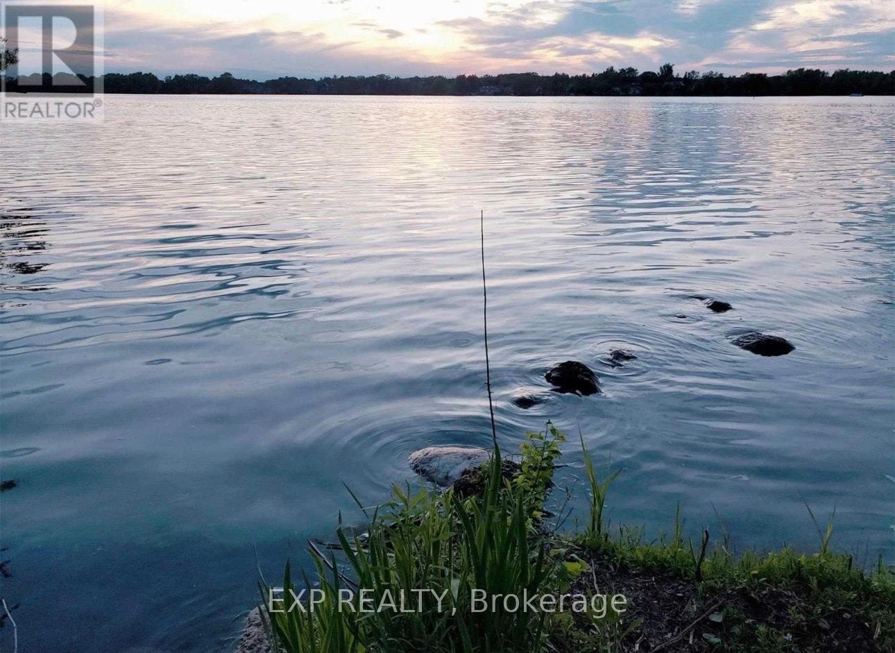 Lower - 127 Anchusa Drive, Richmond Hill, Ontario  L4E 1C5 - Photo 15 - N12715604