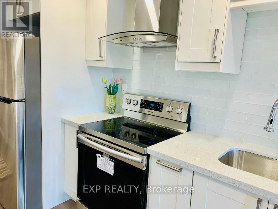 Lower - 127 Anchusa Drive, Richmond Hill, Ontario  L4E 1C5 - Photo 4 - N12715604