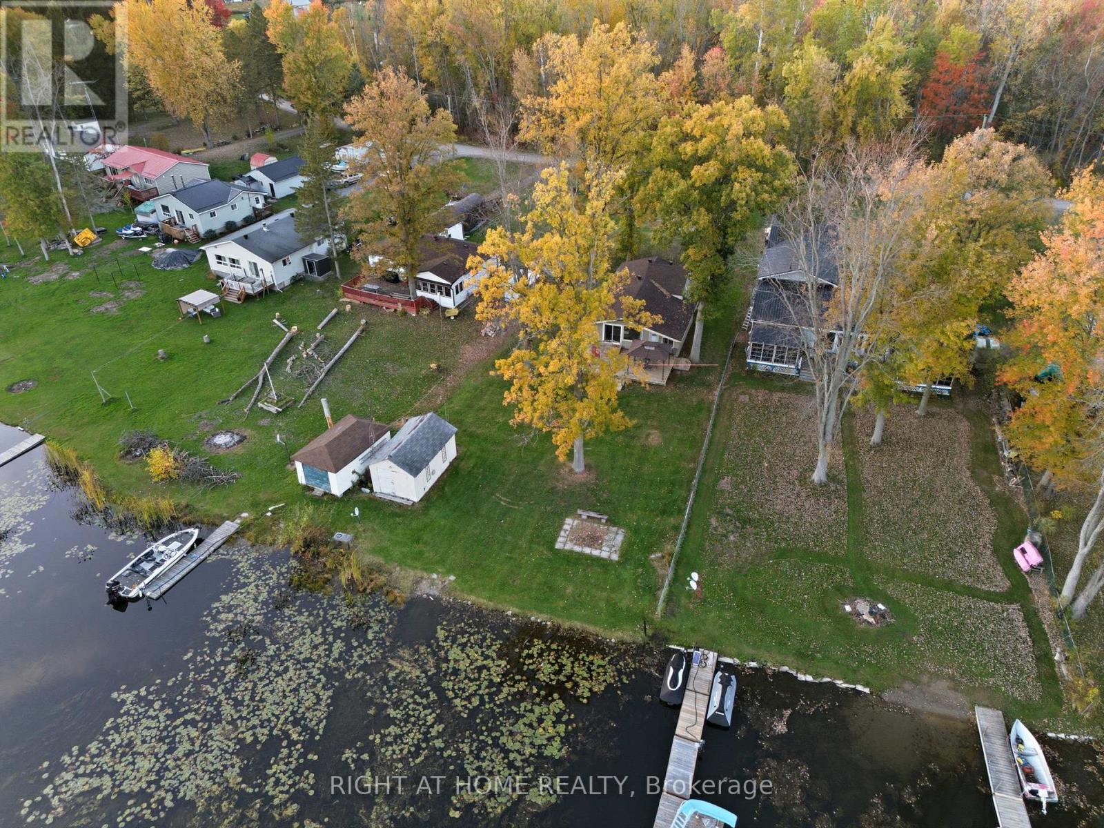 49 River Road W, Trent Hills, Ontario  K0L 1L0 - Photo 4 - X12690260