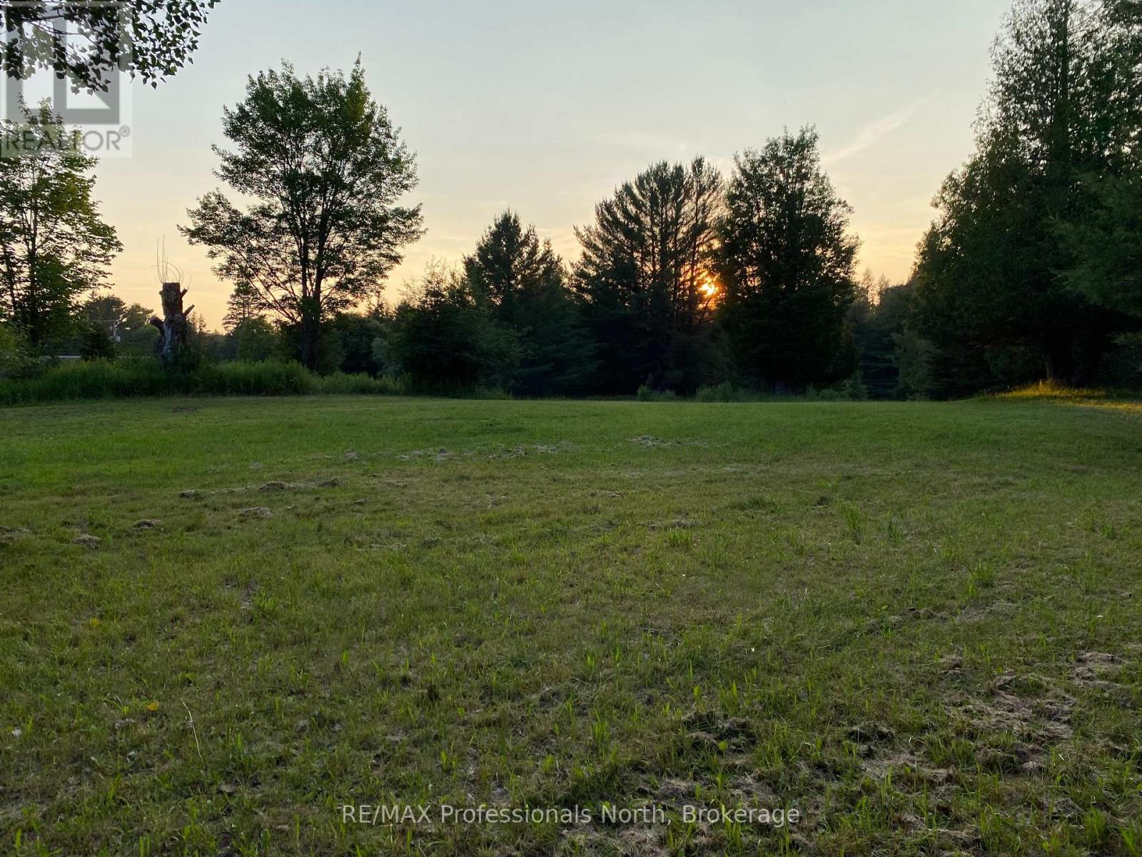 204 Mineral Springs Road, Huntsville, Ontario  P1H 2N5 - Photo 19 - X12715692