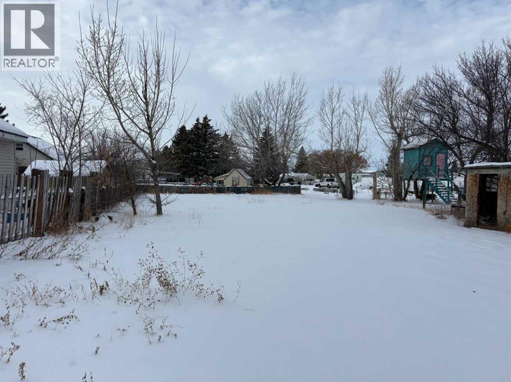 316 Broadway Street N, Raymond, Alberta  T0K 2S0 - Photo 19 - A2273582