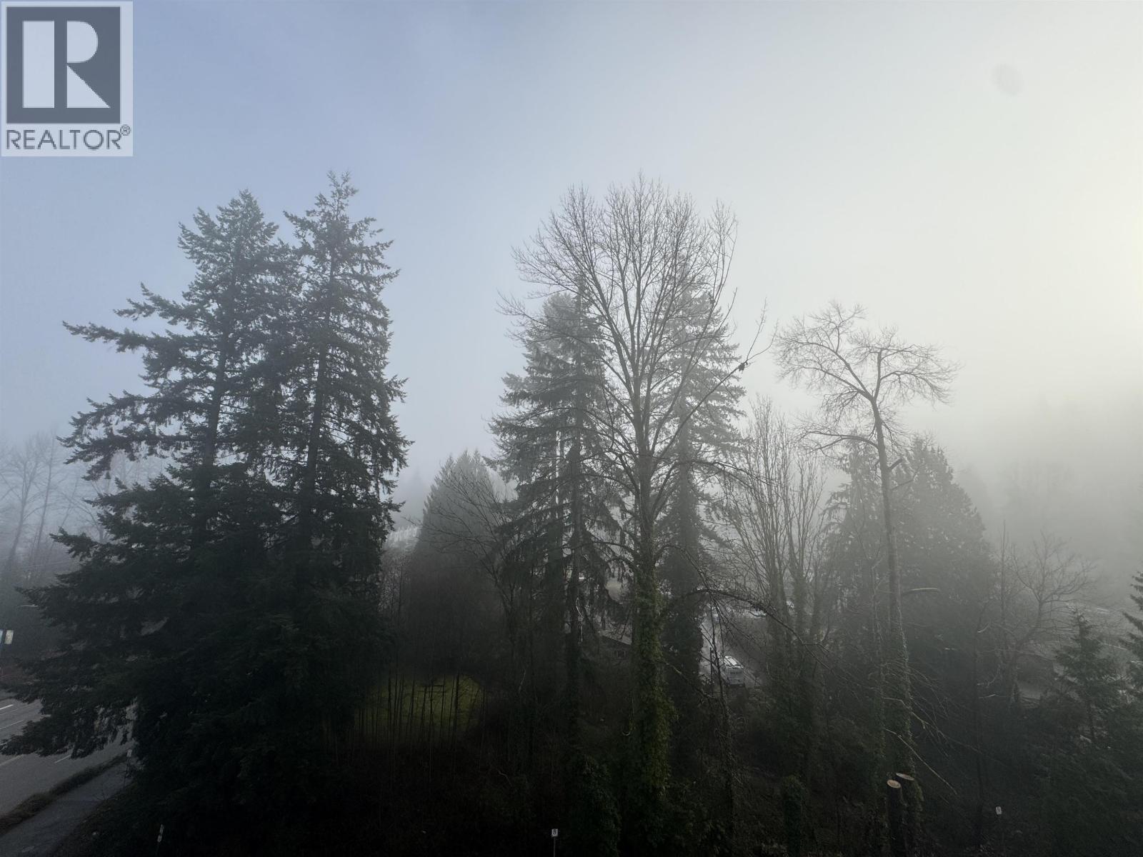 510 125 Albert St, Port Moody, British Columbia  V2H 0M8 - Photo 29 - R3081730