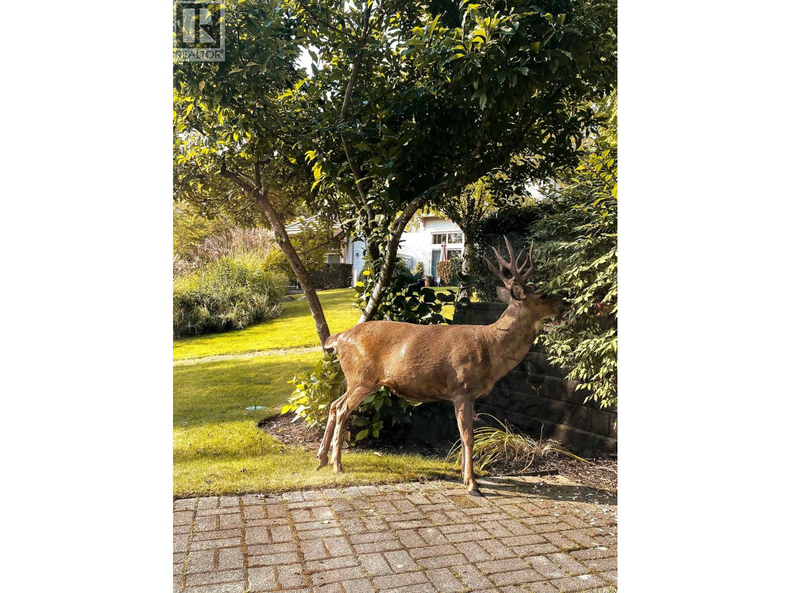 23 3405 Plateau Boulevard, Coquitlam, British Columbia  V3E 3L7 - Photo 21 - R3081640