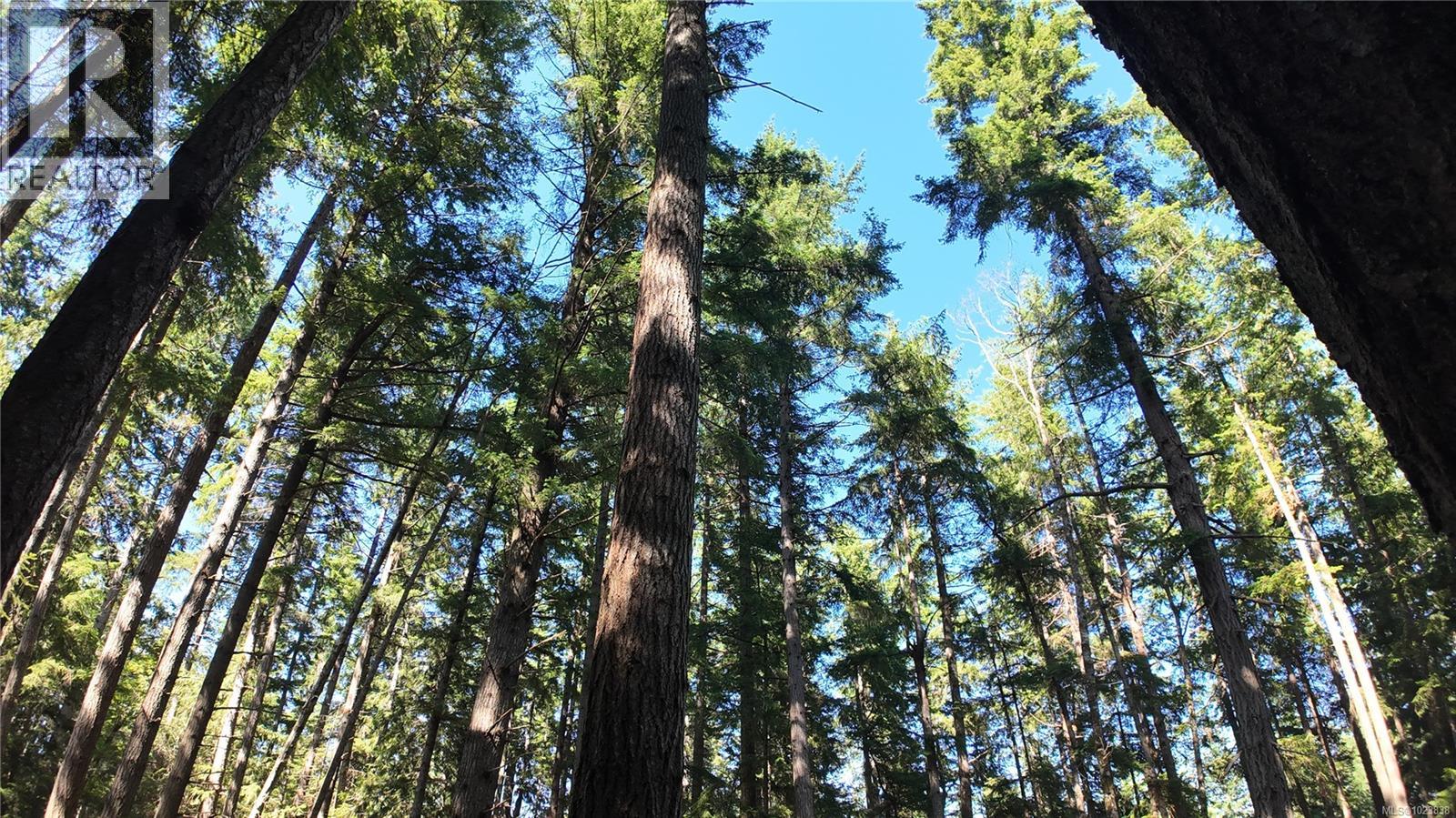 4480 Strachan Rd, Hornby Island, British Columbia