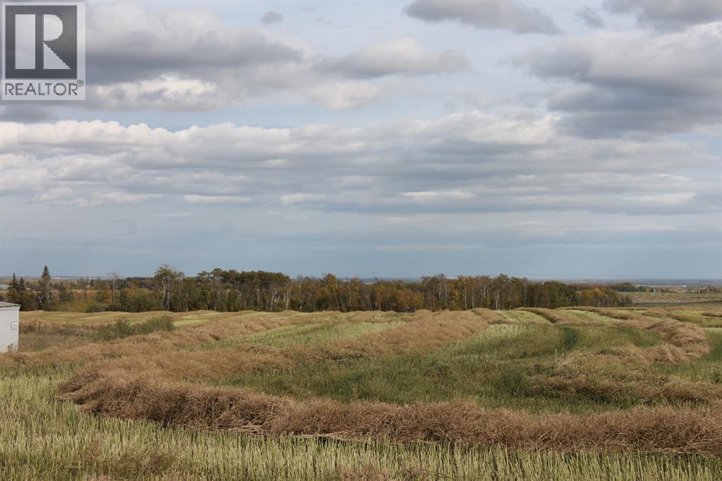 10400 85 Avenue, Sexsmith, Alberta  T0H 3C0 - Photo 1 - A1165129
