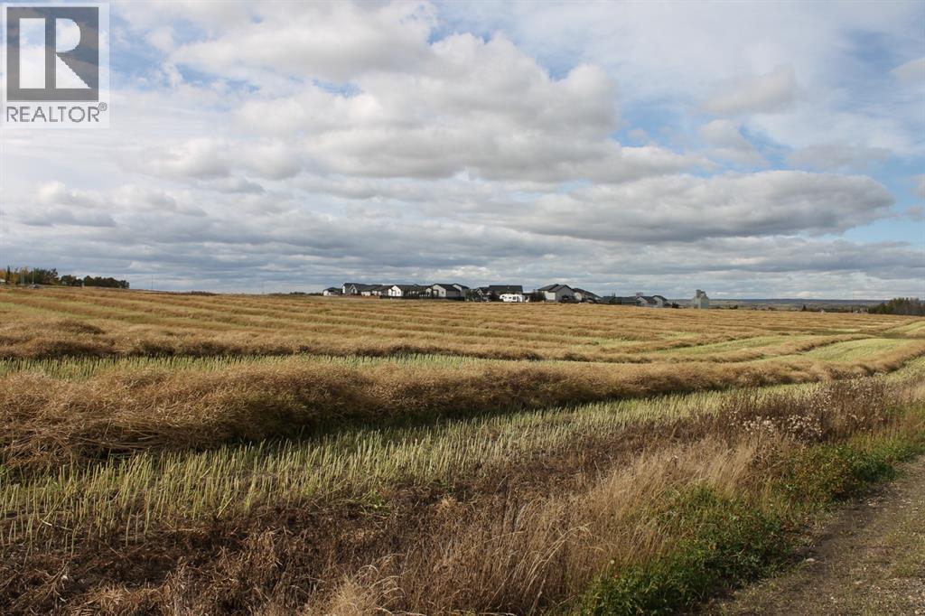 9300 101 Street, Sexsmith, Alberta  T0H 3C0 - Photo 7 - A1165127