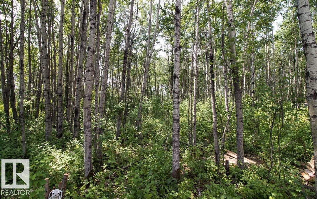 137 5519 Twp Rd 550, Rural Lac Ste. Anne County, Alberta  T5L 0P0 - Photo 13 - E4470615