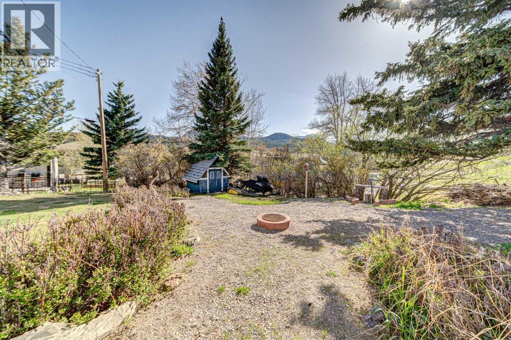 7806 20 Avenue, Coleman, Alberta  T0K 0M0 - Photo 26 - A2256987