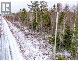 Lot Johnston Point Road, johnston point, New Brunswick