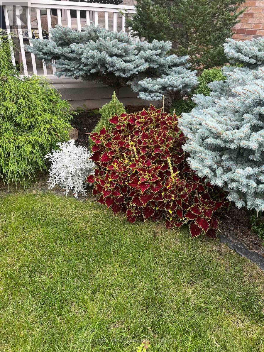 1213 Atkinson Street, Kingston, Ontario  K7P 0C9 - Photo 37 - X12716040