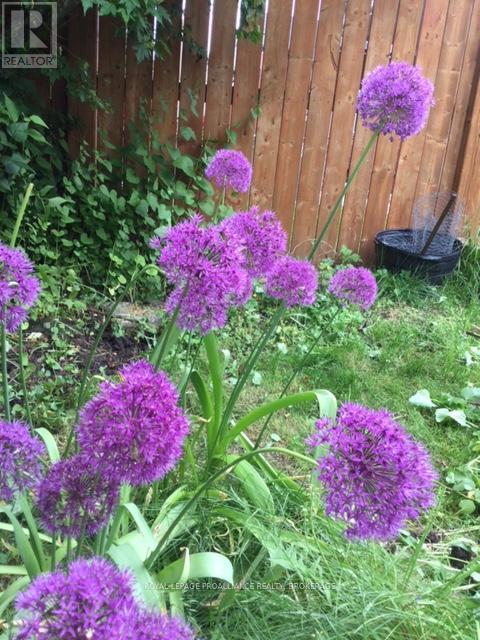 1213 Atkinson Street, Kingston, Ontario  K7P 0C9 - Photo 38 - X12716040