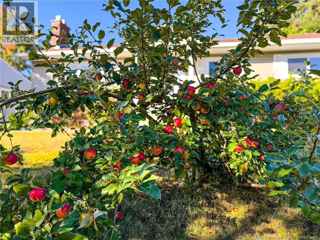 68 Coronation Drive, Moncton, New Brunswick  E1E 2X4 - Photo 44 - NB132482