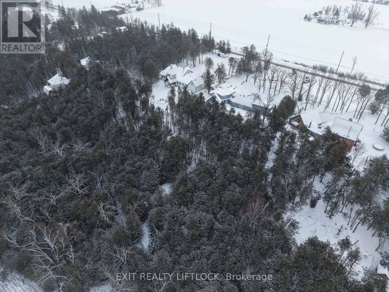 65 Kenrei Road, Kawartha Lakes, Ontario  K9V 4R1 - Photo 6 - X12716198